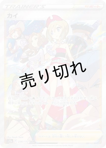 画像1: (No.349)【PSA10】カイ［236/172］ SAR (1)