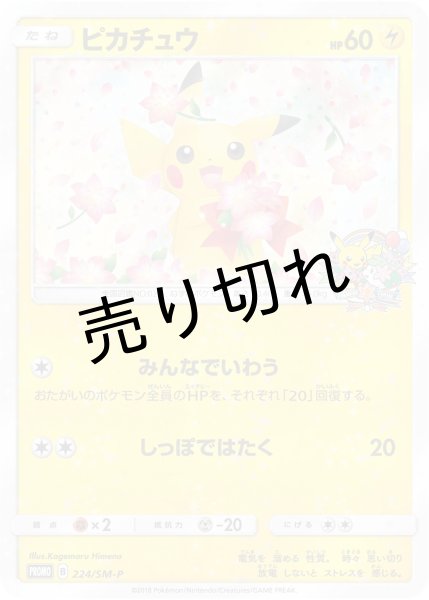 画像1: (No.273)【PSA10】ピカチュウ [224/SM-P] P (1)