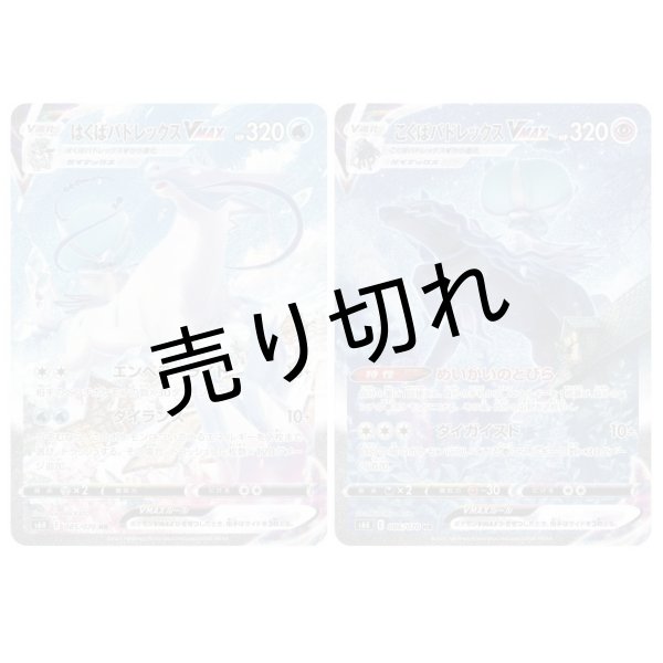 画像1: 【PSA10】はくばバドレックスVMAX&こくばパドレックスVMAXセット　※銀行振込orコンビニ払い (1)