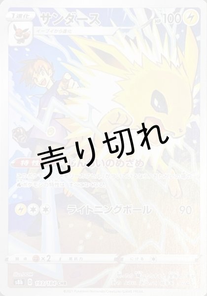 画像1: 【PSA10】サンダース【CHR】{193/184} (1)