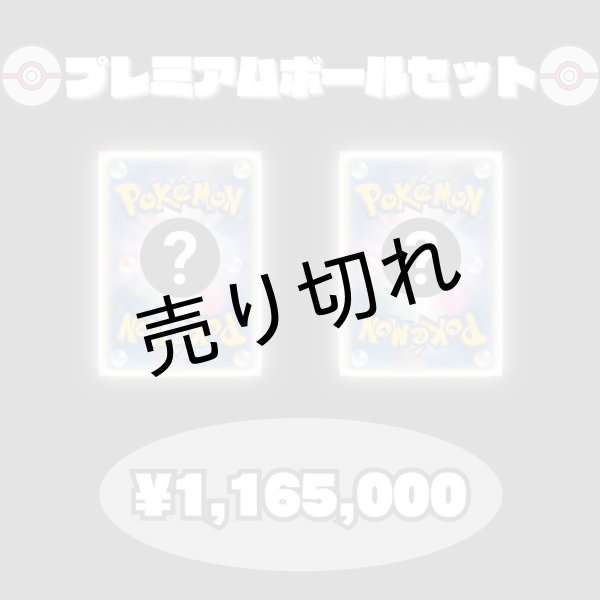 画像1: 【PSA10】プレミアムボールセット　※銀行振込orコンビニ払い (1)