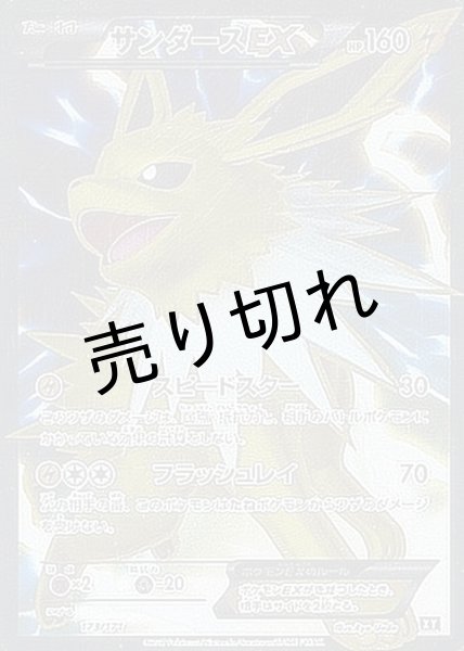 画像1: 【PSA10】サンダースEX(SR仕様)【-】{173/171} [XY] (1)