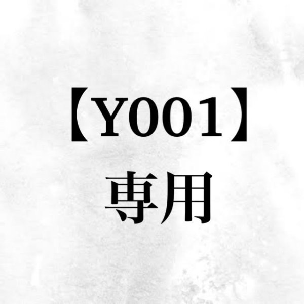 画像1: 【BOX】Y001様専用 (1)