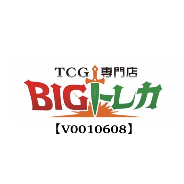 画像1: 【V0010608】様専用 (1)