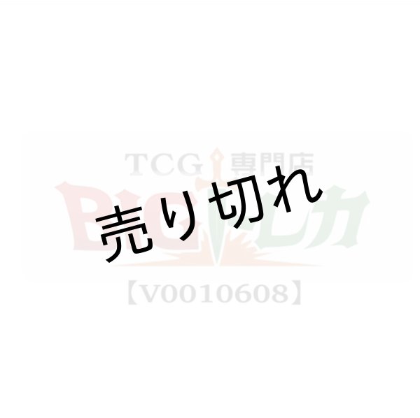 画像1: 【V0010608】様専用 (1)