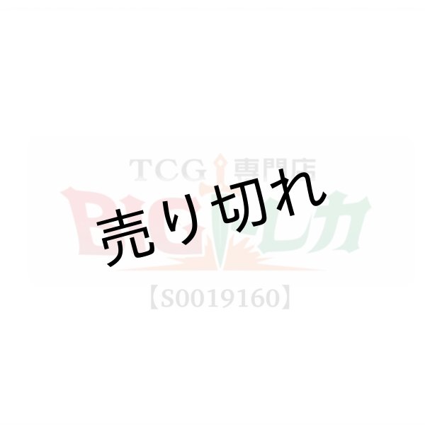 画像1: 【S0019160】様専用 (1)