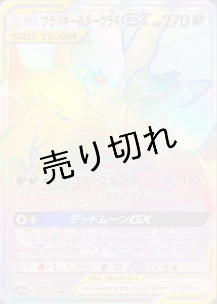 画像1: 【PSA10】ブラッキー＆ダークライGX［215/173］HR (1)