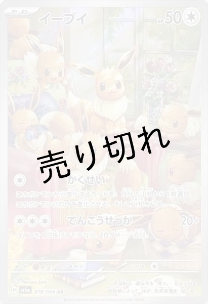 画像1: 【PSA10】イーブイ【AR】{078/066} (1)