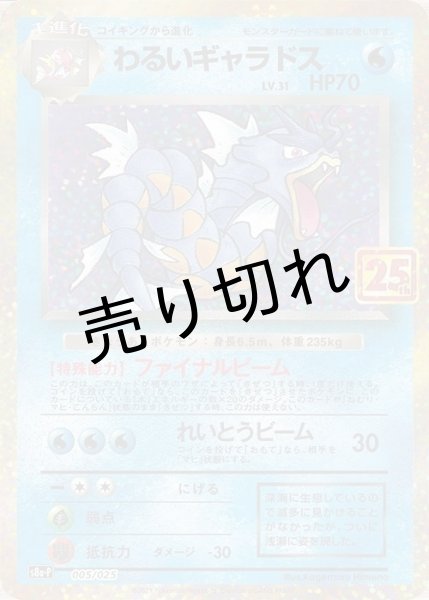 画像1: 【PSA10】わるいギャラドス [005/025]  (1)