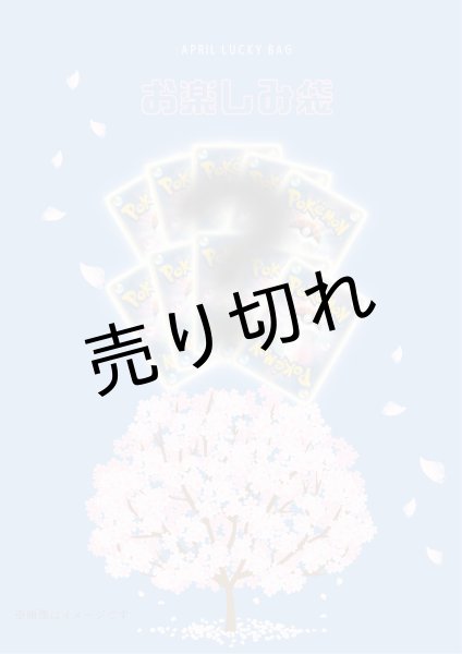 画像1: 【PSA10】お楽しみ袋 / お1人様、1日1回限り　※銀行振込orコンビニ払い (1)