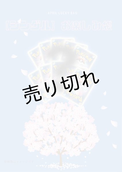 画像1: 【シングル】お楽しみ袋 / お1人様、1日1回限り　※銀行振込orコンビニ払い (1)
