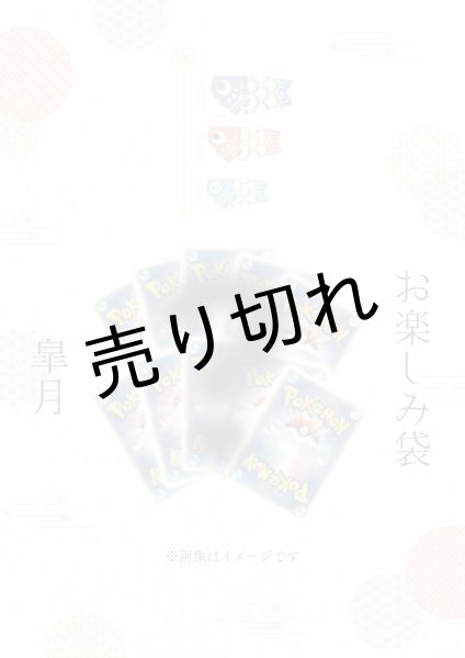 画像1: 【PSA10】お楽しみ袋 / お1人様、1日1回限り　※銀行振込orコンビニ払い (1)
