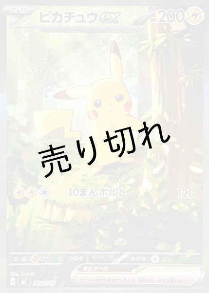 画像1: 【PSA10】ピカチュウex(SAR仕様)【-】{764/742} [MC]  (1)