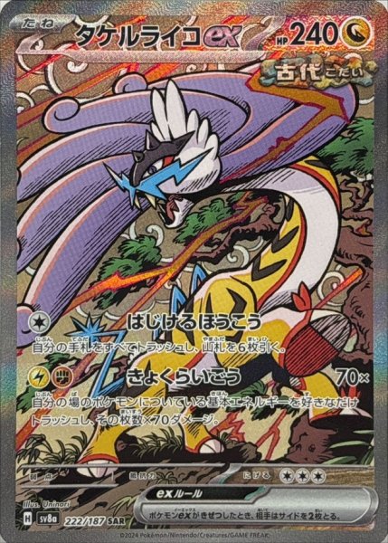 画像1: 【PSA10】タケルライコex【SAR】{222/187} ※銀行振込orコンビニ支払い (1)